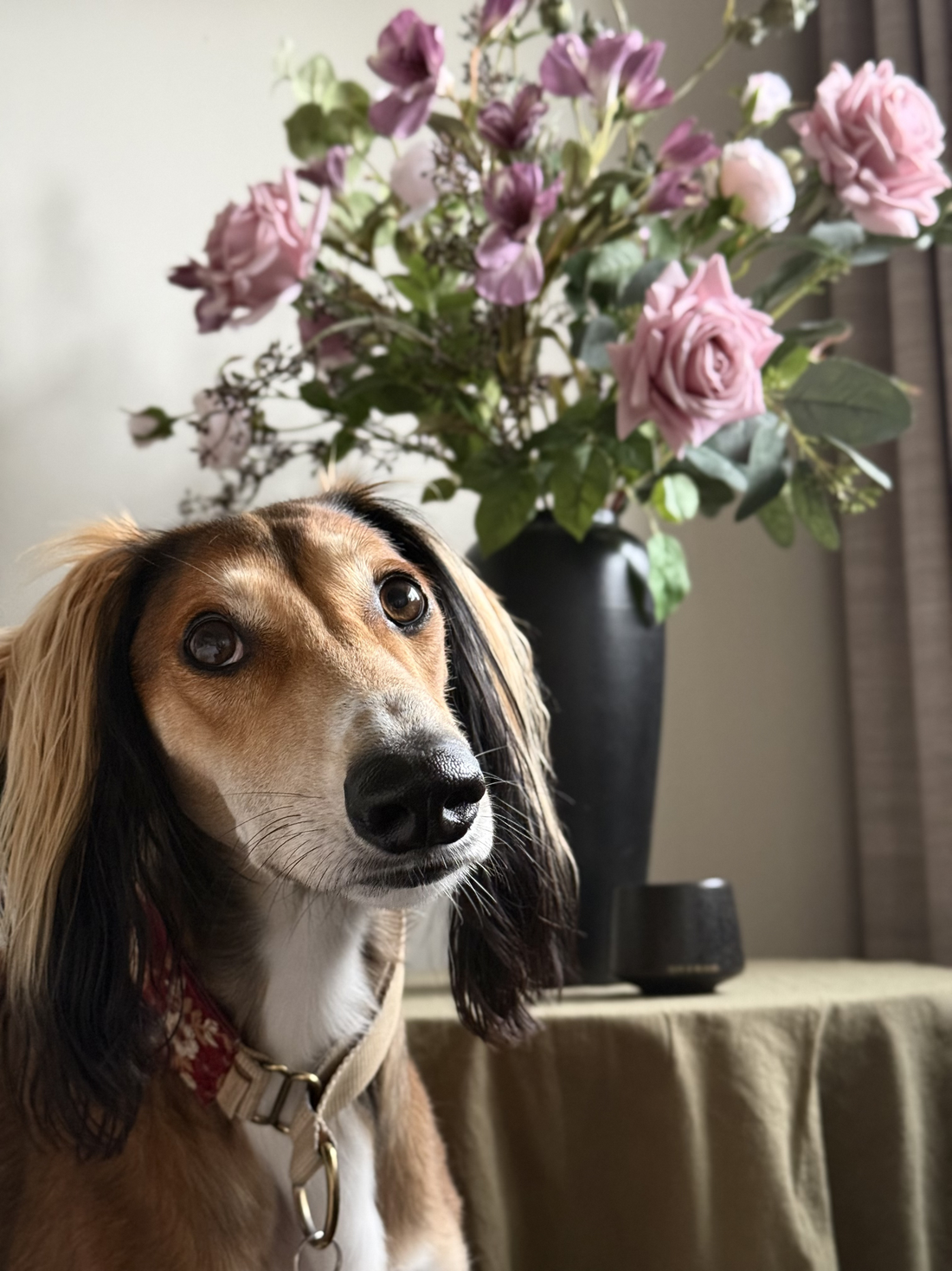 Flowers That Are Toxic to Dogs (And What to Choose Instead)