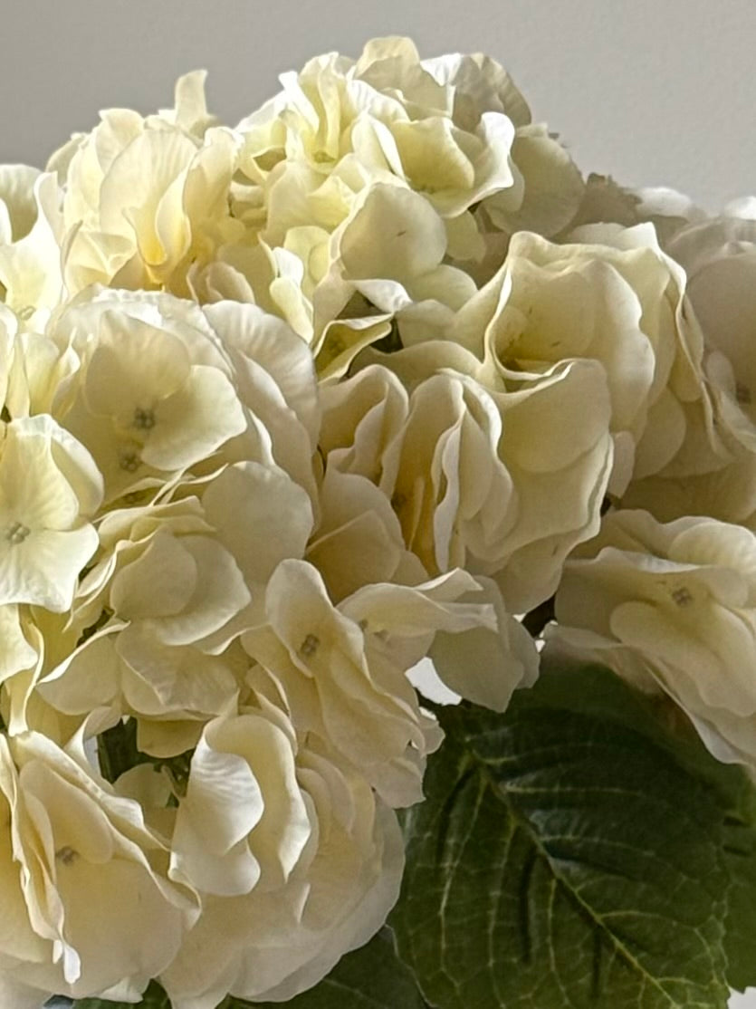 Large Hydrangea Bouquet | Cream, Green