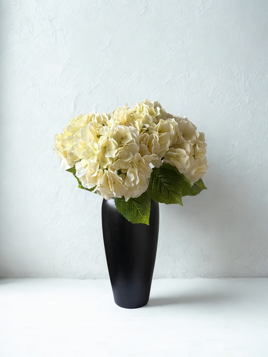Black vase with white flowers on a white background