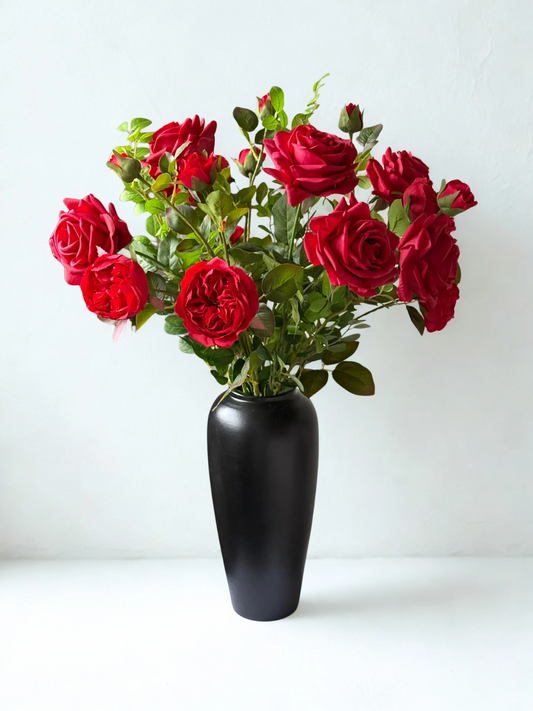 Bouquet of red roses in a black vase on a white background